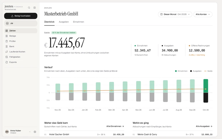 Numbers in junctura finance: income, expenses, balance and trend for the sample business